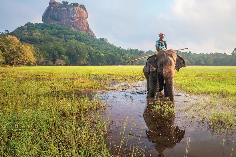 Le Sri Lanka, Dubaï et Abu Dhabi, de l'océan Indien au golfe Persique