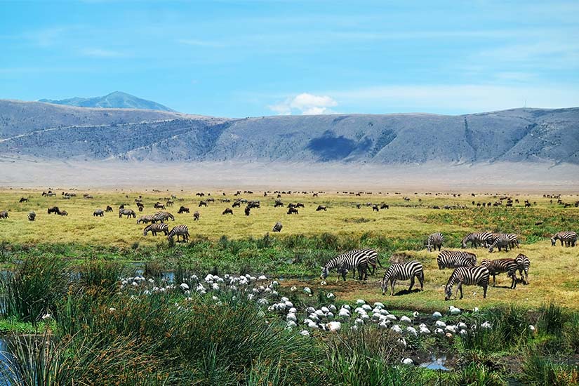 Tanzanie authentique