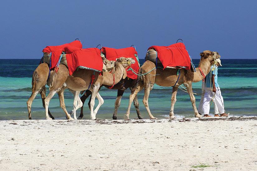 La Rose des Sables, à la découverte du Grand Sud de la Tunisie