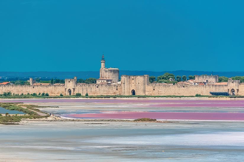 Entre Camargue et Provence