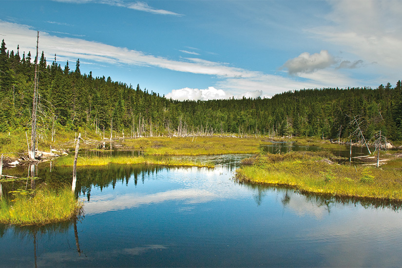 https://images.salaun-holidays.com//-image-1-Lac-au-Parc-National-du-Saguenay-Quebec-29-as_16362558.jpg