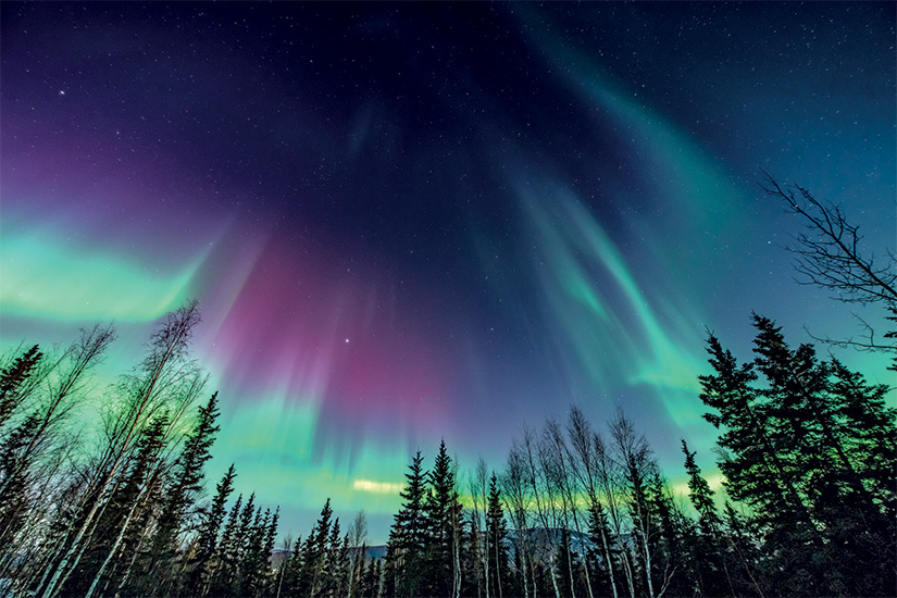 ()  aurores boreales au dessus des arbres 13 as_167720513