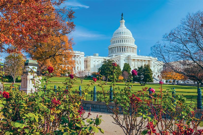 https://images.salaun-holidays.com//-image-Etats-Unis-Wahington-DC-Capitole-as_367631940.jpg