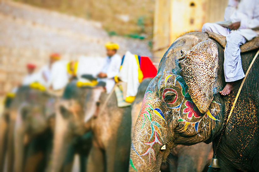 (Image)-image-Inde-Jaipur-elephant-44-it_38512948-09032017.jpg