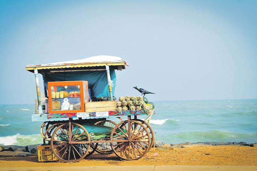 (Image)-image-Inde-Pondichery-Vendeur-de-fruits-it_529194461