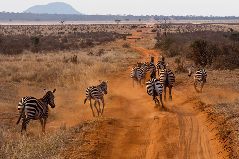 Kenya - Circuit Safaris Mythiques du Kenya