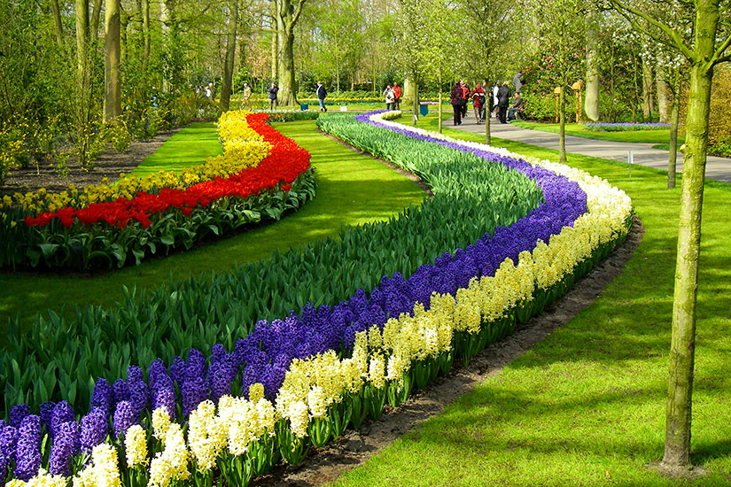 Belgique - Pays-Bas - Circuit La Hollande, le Corso Fleuri et les Tulipes du Parc Keukenhof - Départ Sud