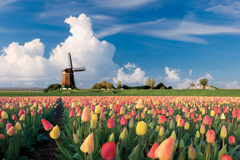Belgique - Pays-Bas - Circuit La Hollande, le Corso Fleuri et les Tulipes du Parc Keukenhof - Départ Sud