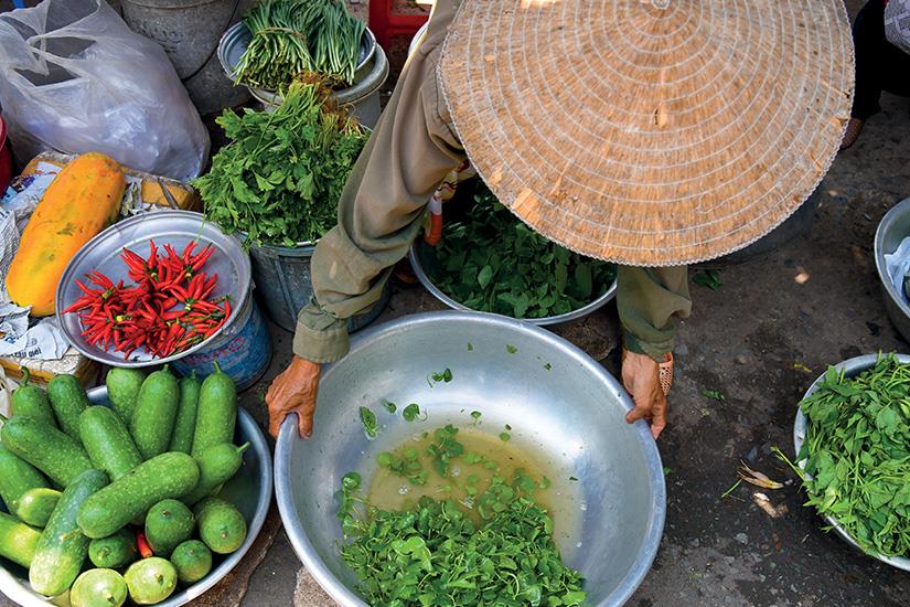 Vietnam - Circuit Splendeurs du Vietnam