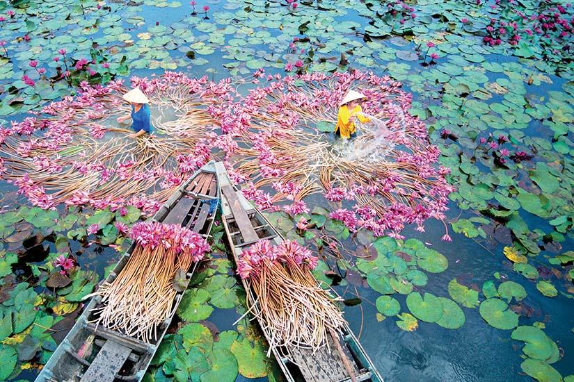 https://images.salaun-holidays.com//-image-vietnam-an-giang-fleurs-de-lys-riviere-femmes-vietnamienne-as_397385129.jpg