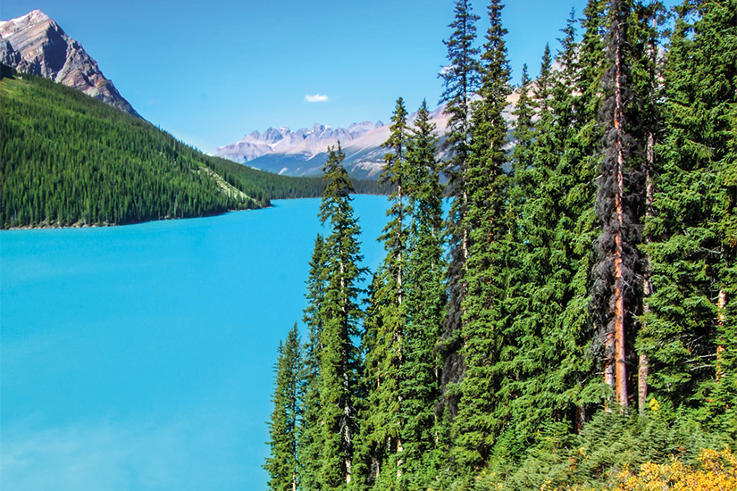 --1-lac-peyto-au-canada-06-as_37766579.jpg