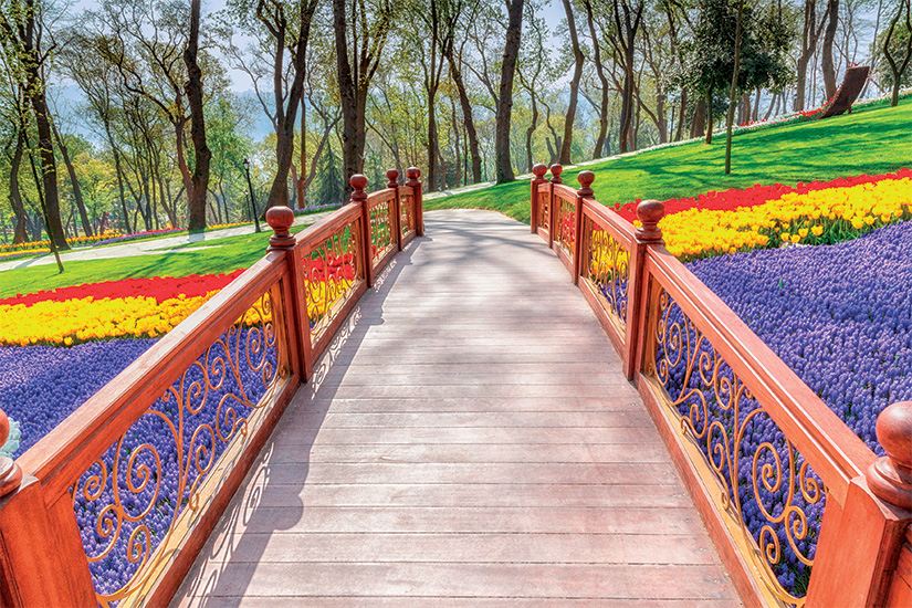 https://images.salaun-holidays.com//(image)-image-Pont-en-bois-romantique-entre-de-tulipes-et-d-autres-fleurs-dans-le-parc-urbain-Emirgan-Korusu-in-Istanbul-Turquie-87-as_196557509.jpg.jpg