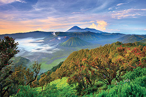 --indonesie-java-volcan-bromo-au-lever-du-soleil-323-fo_64524009-09032017.jpg