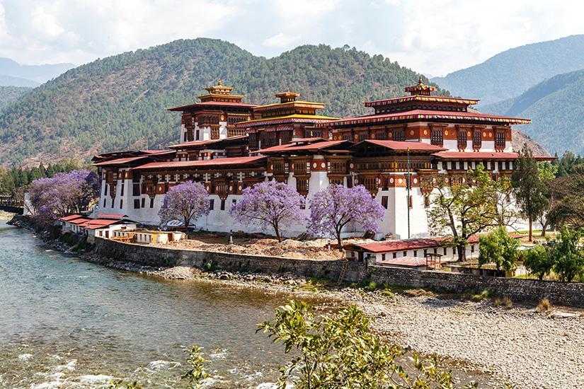 --bhoutan-dzong-de-punakha-as_472839491