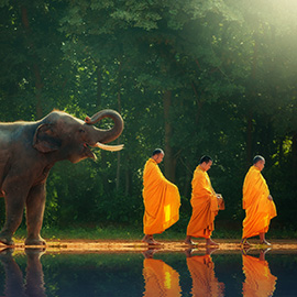 Des thaïlandais et un éléphant