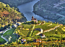 Portugal la vallée verdoyante du fleuve Douro