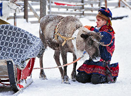 Finlande Samii et son renne en Laponie