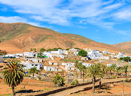 Habitations blanches dans les dunes de sable avec palmiers de Corralejo Viejo à Fueteventura