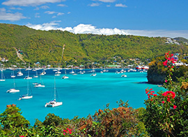 Port avec voiliers bordé de végétation et de fleurs dans les îles Grenadines