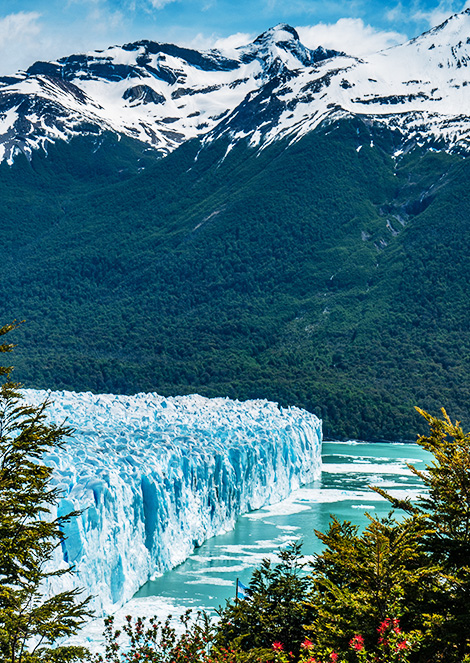 Le Perito Moreno en Argentine