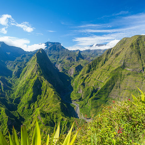 Île de la Réunion - Poker de l'Hiver