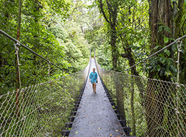Costa Rica pont suspendu du Monteverde