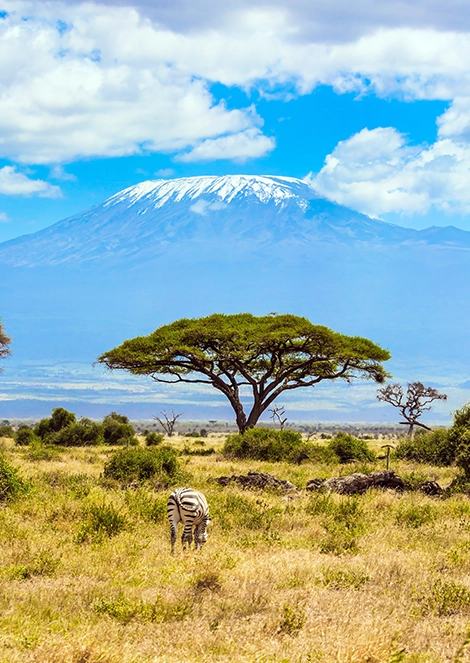 Travel Evasion - Kenya