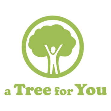 Projets de reforestation - a Tree for You