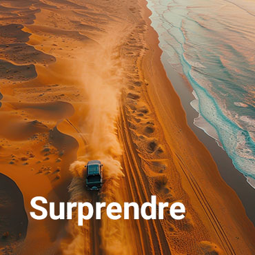 Surprendre