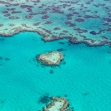 Grande Barrière de Corail, Australie