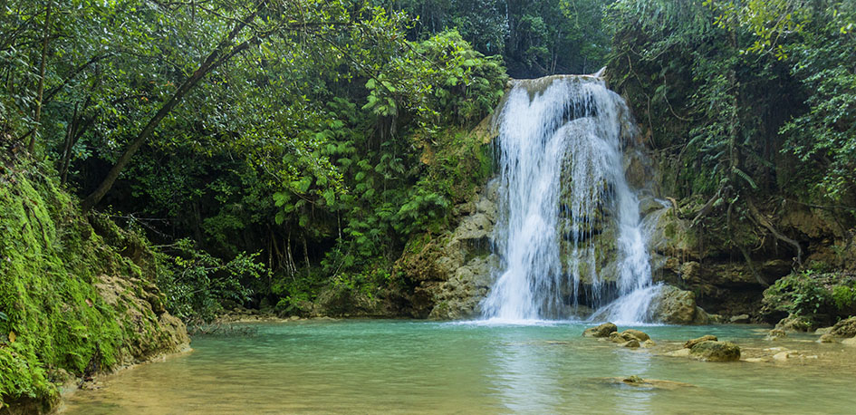 République dominicaine parc national Del Este