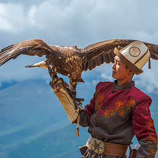 Spectacle de rapace en chasse - Kazakhstan