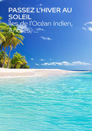 Une plage de sable fin avec des cocotiers