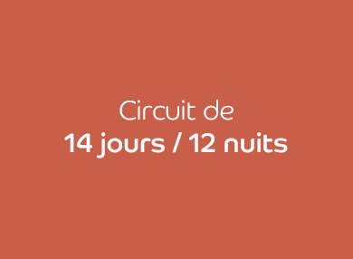 Combiné Java / Bali - Prix