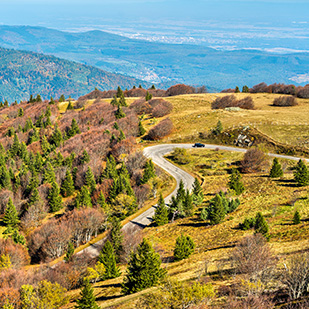 La route des Crêtes et les panoramas vosgiens