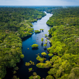 Fleuve Amazone et forêt vus du ciel