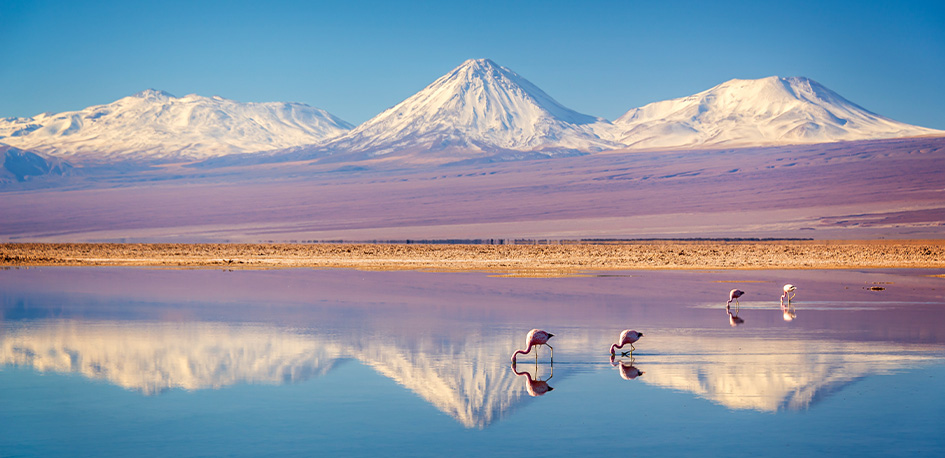 Le désert de sel au Chili