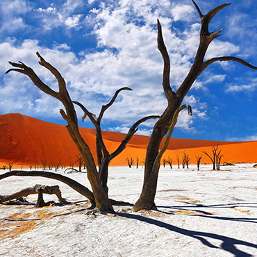 Désert de sel dans le désert du Namib