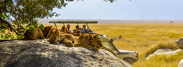 Voyage en Afrique