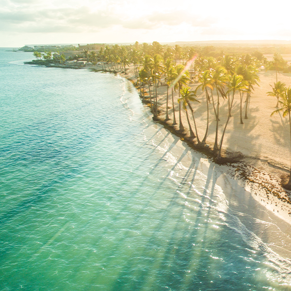 image illustrant un produit type