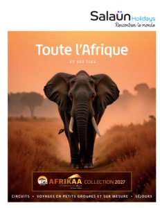 Ouvrir la brochure Afrikaa 2027